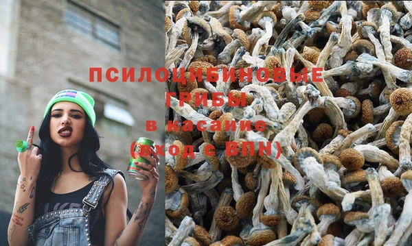 прущая мука Ветлуга