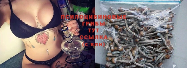 прущая мука Ветлуга
